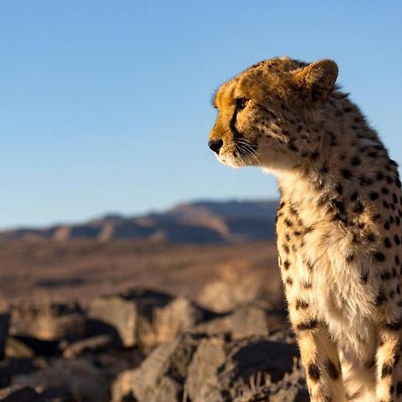 Neuras Wine And Wildlife Estate Hotel Namib-Naukluft National Park ภายนอก รูปภาพ