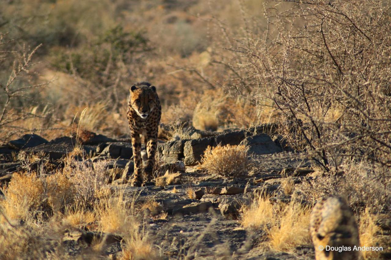 Neuras Wine And Wildlife Estate Hotel Namib-Naukluft National Park ภายนอก รูปภาพ