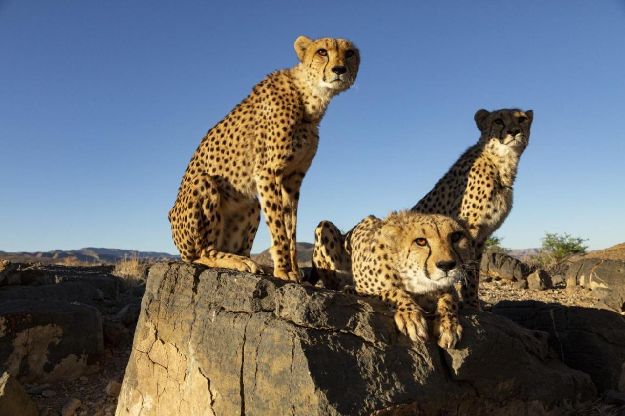 Neuras Wine And Wildlife Estate Hotel Namib-Naukluft National Park ภายนอก รูปภาพ