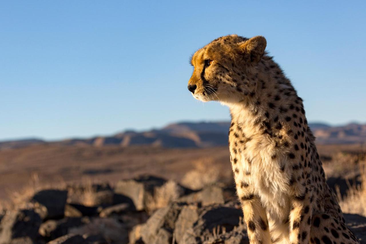 Neuras Wine And Wildlife Estate Hotel Namib-Naukluft National Park ภายนอก รูปภาพ