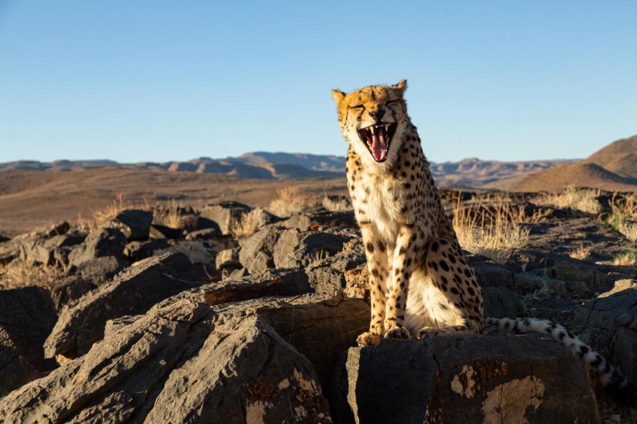 Neuras Wine And Wildlife Estate Hotel Namib-Naukluft National Park ภายนอก รูปภาพ