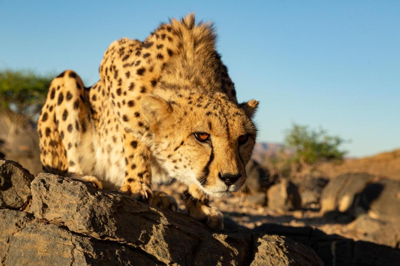 Neuras Wine And Wildlife Estate Hotel Namib-Naukluft National Park ภายนอก รูปภาพ